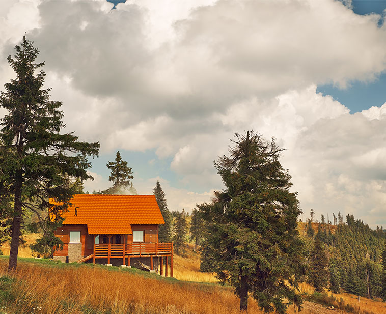 Agence web spécialisée dans votre domaine chalet