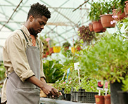 Site web pour entreprise de votre domaine jardin