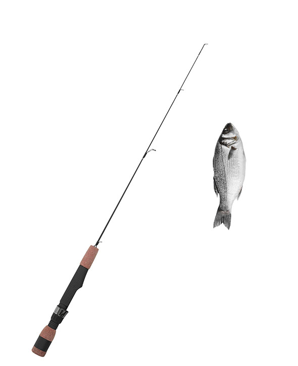 Positionnement Google d’un site web peche